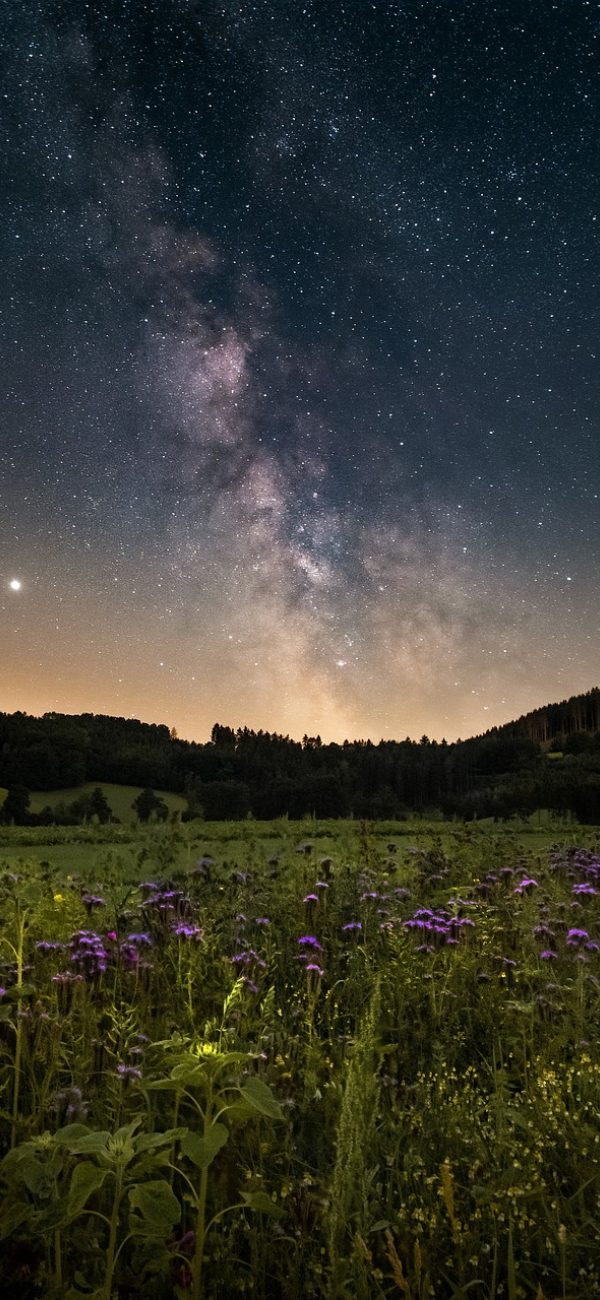 播放页截图，画面为宇宙星空场景，底部控制条包含进度、清晰度与线路切换按钮，界面元素克制不遮挡画面